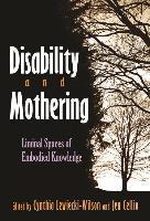 Disability and Mothering : Liminal Spaces of Embodied Knowledge -